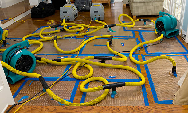 Professional Water Damage Restoration technician working in Caledonia, MI